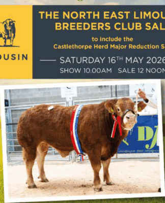 North East Club Sale Darlington May 2026 – Including Castlethorpe Herd Major Reduction Sale
