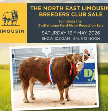 North East Club Sale Darlington May 2026 – Including Castlethorpe Herd Major Reduction Sale