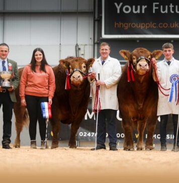 HUGE DEMAND FOR LIMOUSIN GENETICS AT CARLISLE – RED HOT TRADE TOPS AT 38,000GNS