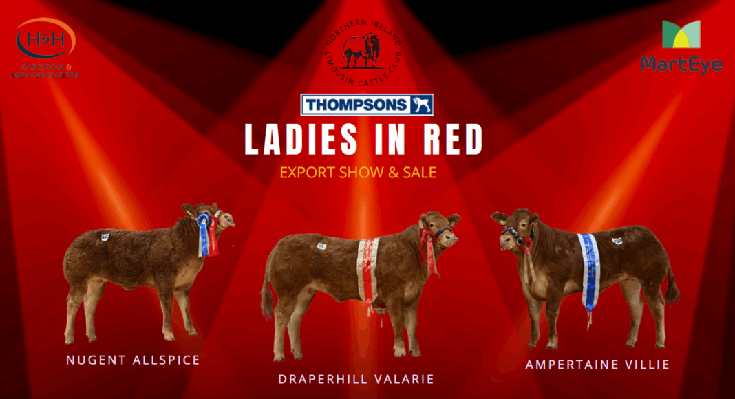 Ladies In Red N.I Club Export Sale