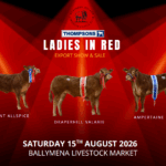 Ladies In Red N.I Club Export Sale