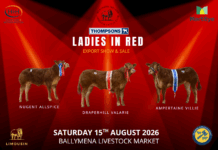 Ladies In Red N.I Club Export Sale