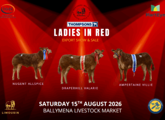 Ladies In Red N.I Club Export Sale