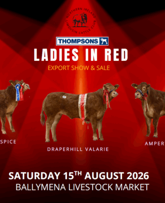 Ladies In Red N.I Club Export Sale