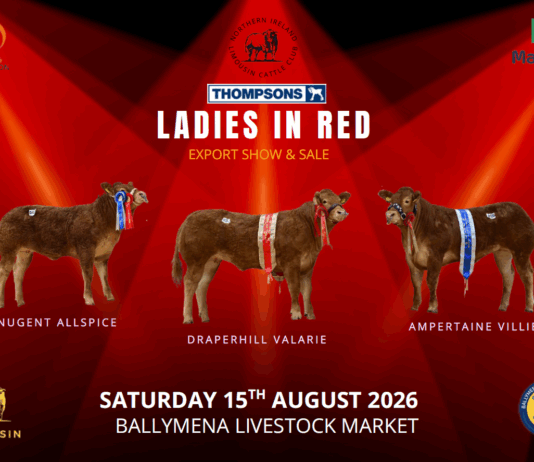 Ladies In Red N.I Club Export Sale
