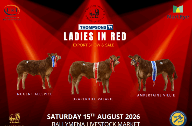 Ladies In Red N.I Club Export Sale
