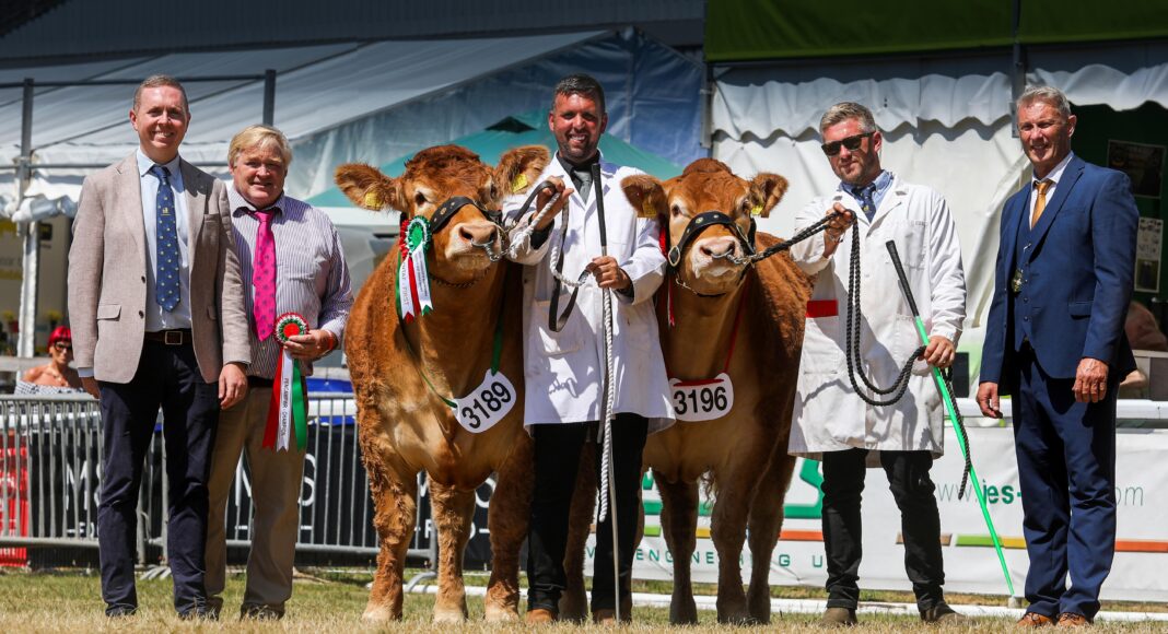 WOODMARSH VERONICA TRIUMPHS AT THE ROYAL WELSH SHOW