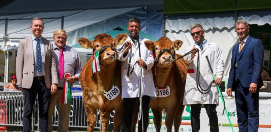 WOODMARSH VERONICA TRIUMPHS AT THE ROYAL WELSH SHOW