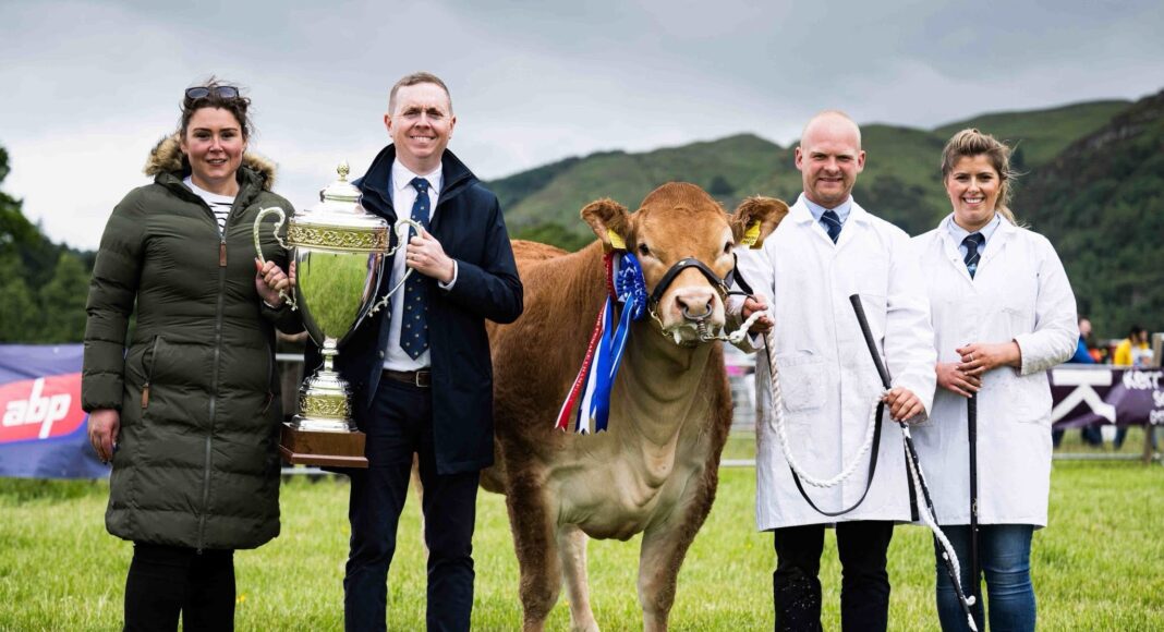 Glenrock Voodoo Magic casts Stirling under her spell