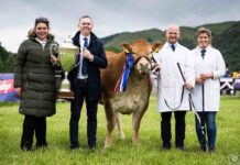 Glenrock Voodoo Magic casts Stirling under her spell