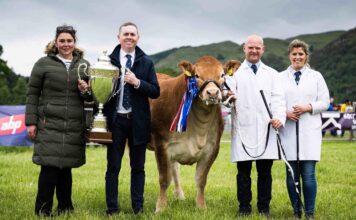 Glenrock Voodoo Magic casts Stirling under her spell