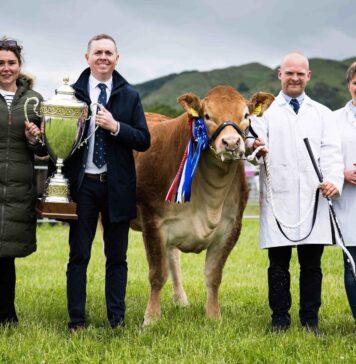 Glenrock Voodoo Magic casts Stirling under her spell
