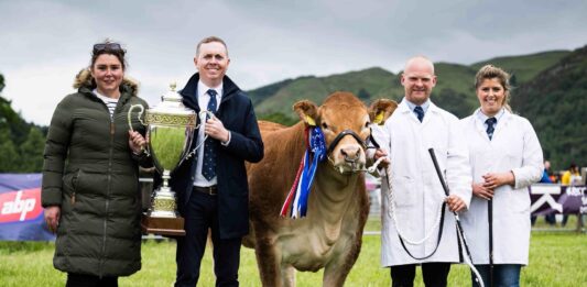 Glenrock Voodoo Magic casts Stirling under her spell
