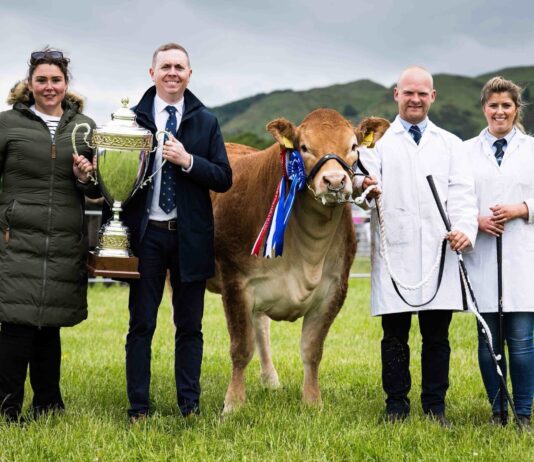 Glenrock Voodoo Magic casts Stirling under her spell