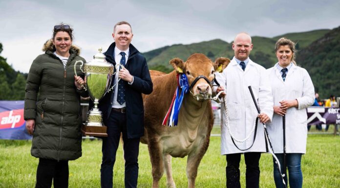 Glenrock Voodoo Magic casts Stirling under her spell