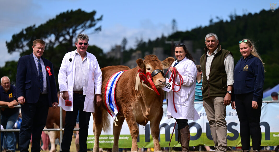 IT WAS ‘LADIES’ DAY’ AT THE 2026 NORTHERN IRELAND LIMOUSIN NATIONAL CHAMPIONSHIPS