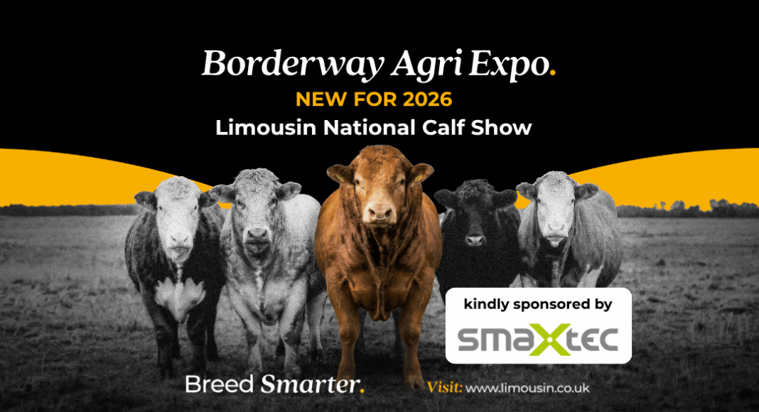 NEW Limousin National Pedigree Calf Show at Borderway Agri Expo 2026