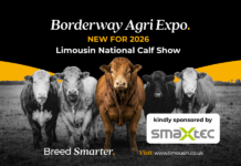 NEW Limousin National Pedigree Calf Show at Borderway Agri Expo 2026