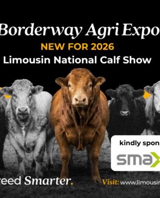 NEW Limousin National Pedigree Calf Show at Borderway Agri Expo 2026