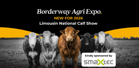 NEW Limousin National Pedigree Calf Show at Borderway Agri Expo 2026