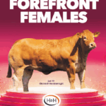 Forefront Female Sale
