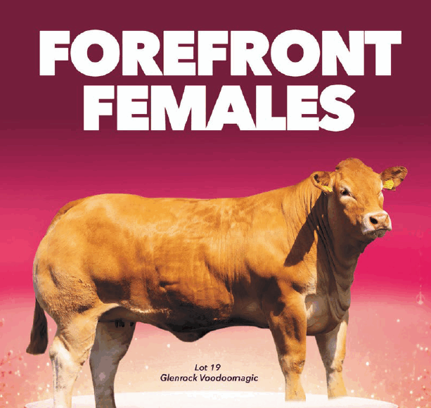 Forefront Female Sale