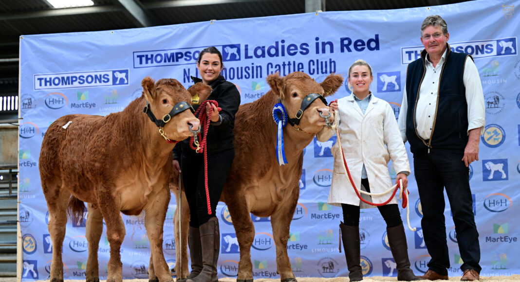 LADIES IN RED SALE SEES TOP PRICE OF 16,000GNS FOR GLENMARSHAL ARMANI