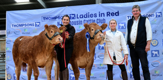 LADIES IN RED SALE SEES TOP PRICE OF 16,000GNS FOR GLENMARSHAL ARMANI
