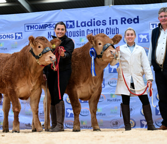 LADIES IN RED SALE SEES TOP PRICE OF 16,000GNS FOR GLENMARSHAL ARMANI