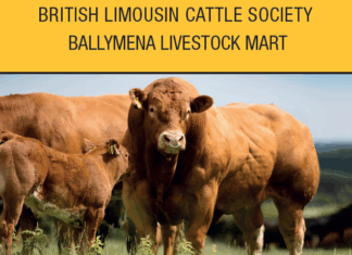 Ballymena Sale Catalogue Oct 2026
