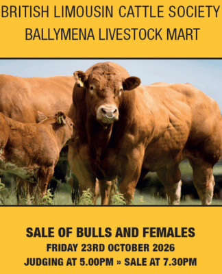 Ballymena Sale Catalogue Oct 2026