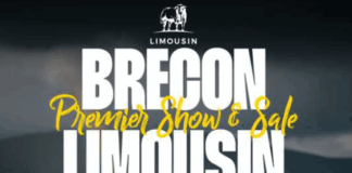 Brecon Nov 2026 Sale