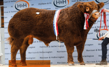 Carlisle Oct 2026 Sale Catalogues including Teague Dispersal Sale