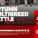 East Midlands Club Sale Oct 2026