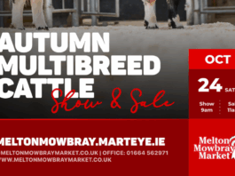 East Midlands Club Sale Oct 2026