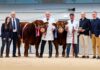 HALTCLIFFE ARCHER STEALS THE SPOTLIGHT AT 45,000GNS AT CARLISLE OCTOBER SALE