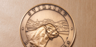 Stirling Oct 2026 Bull Sale Catalogue