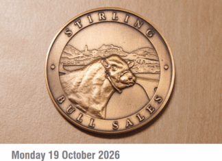 Stirling Oct 2026 Bull Sale Catalogue