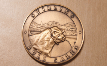 Stirling Oct 2026 Bull Sale Catalogue
