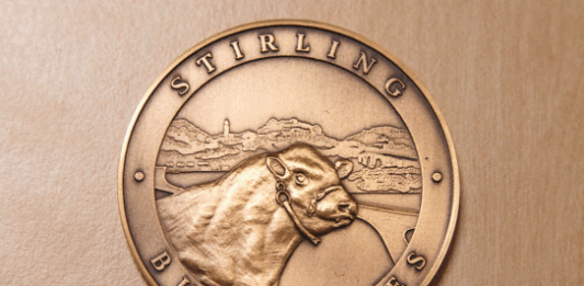 Stirling Oct 2026 Bull Sale Catalogue