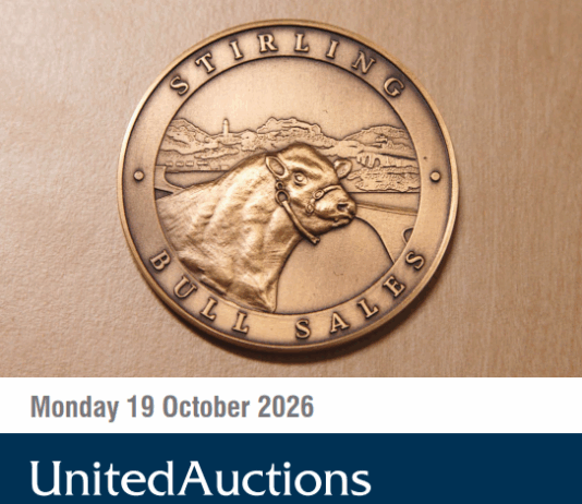 Stirling Oct 2026 Bull Sale Catalogue